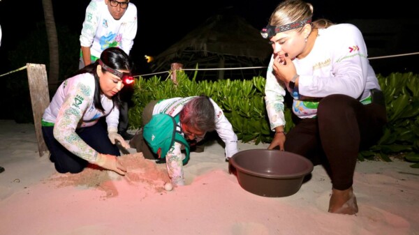 Blanca Merari llama a proteger a la tortuga marina y preservar la vida silvestre en Puerto Morelos