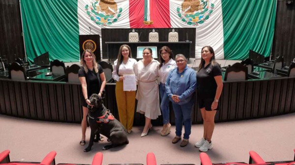 Quintana Roo avanza en inclusión: garantizan acceso con perros de asistencia y animales de apoyo emocional