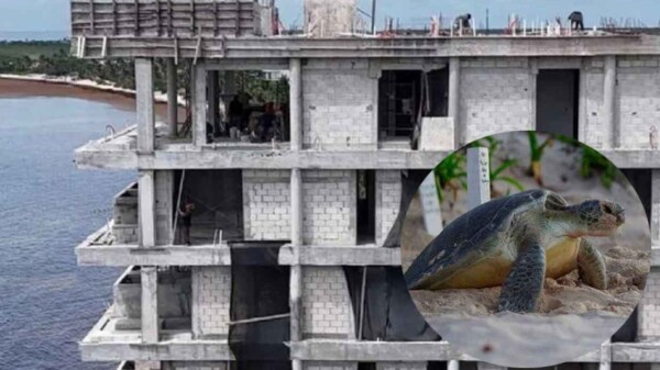 Demolerán edificio de departamentos en Tulum por orden judicial