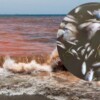 Yucatán emite alerta sanitaria por Marea Roja en tres municipios costeros