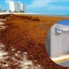 Quintana Roo pone en marcha centro pionero para monitoreo del sargazo en el Caribe