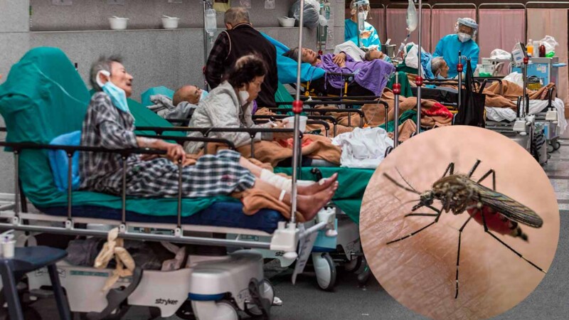 Brote de chikungunya asola a China, ya hay más de 7 mil contagiados