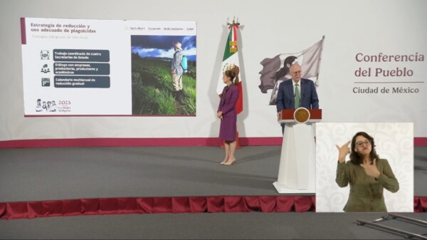 Presenta Sheinbaum plan para erradicación de plaguicidas