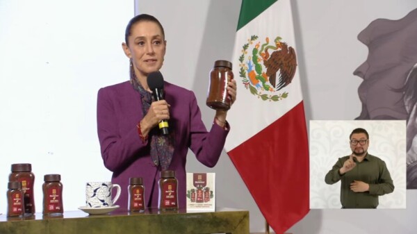 Café Bienestar, plan conjunto con productores indígenas