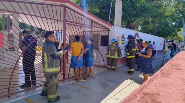 Ataque de abejas en un jardín de niños de la Región 94 de Cancún