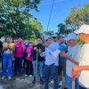 Continúa gobierno de Benito Juárez con programa de arborización en Cancún