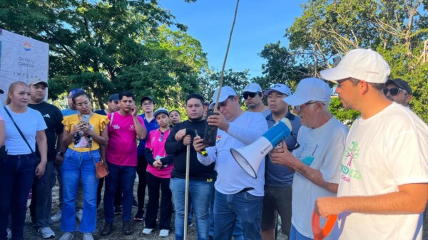 Continúa gobierno de Benito Juárez con programa de arborización en Cancún