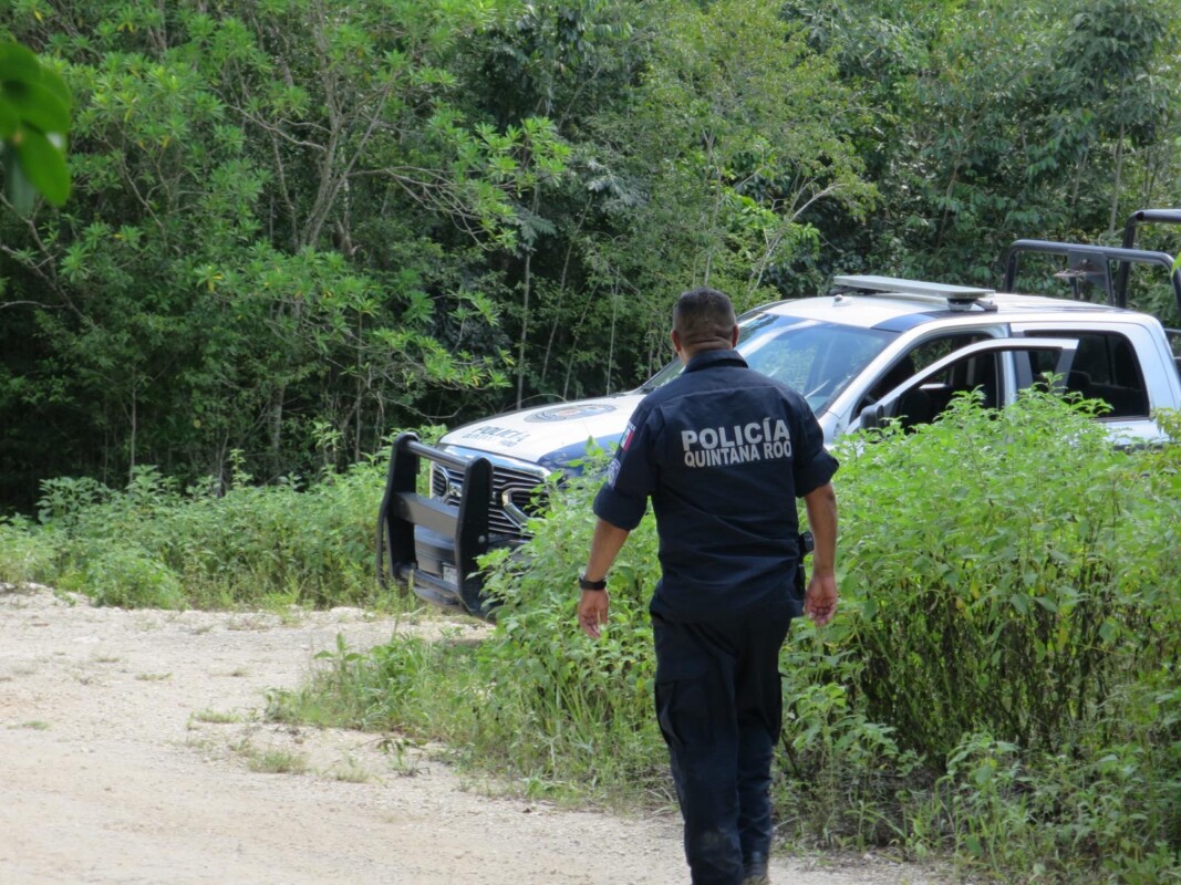 Hallan restos humanos encostalados en la colonia Avante de Cancún; vecinos del lugar descubrieron que perros callejeros intentaban darse un festín.