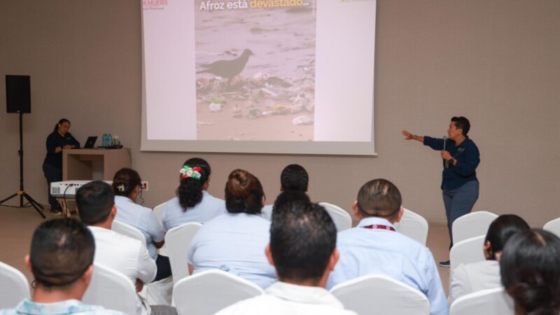 Gobierno Municipal fortalece red de protección de la tortuga marina en Isla Mujeres