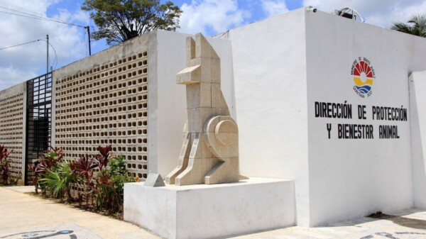 Con más de 2 mil dosis arranca la Campaña de Vacunación Antirrábica