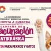 Invita Ana Paty Peralta a la campaña de vacunación antirrábica gratuita para perros y gatos