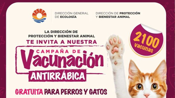 Invita Ana Paty Peralta a la campaña de vacunación antirrábica gratuita para perros y gatos