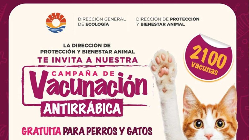 Invita Ana Paty Peralta a la campaña de vacunación antirrábica gratuita para perros y gatos