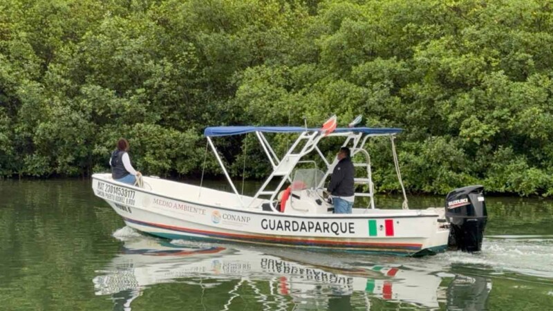 Turista extranjero es atacado por cocodrilo en la zona hotelera de Cancún