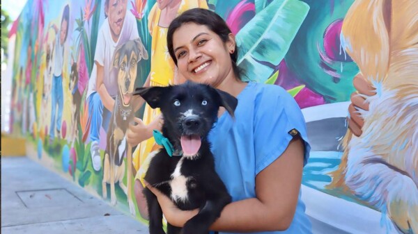 Gobierno de Isla Mujeres impulsa campaña de adopción de mascotas a través del nuevo Centro de Bienestar Animal