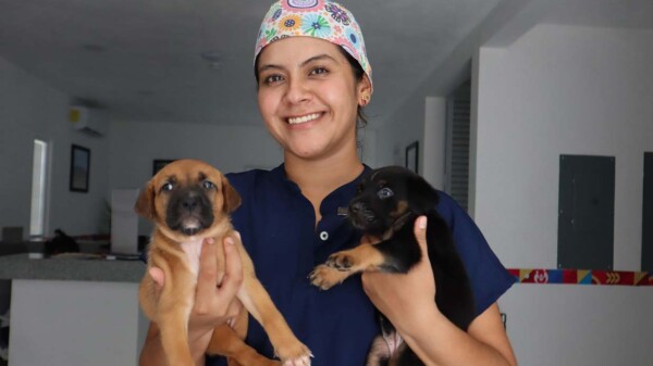 Centro de Bienestar Animal de Isla Mujeres brinda servicios accesibles para mascotas durante toda la semana