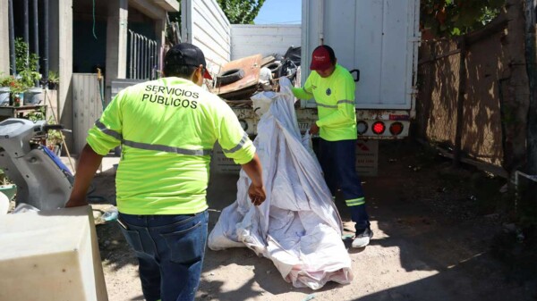 Continúa con éxito el Programa Permanente de Descacharrización en Isla Mujeres