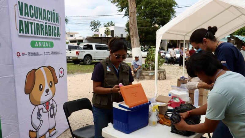 Arranca Puerto Morelos intensa campaña de vacunación antirrábica
