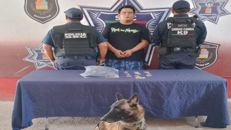 Detecta canino a sujeto con droga en la terminal de autobuses de Cancún