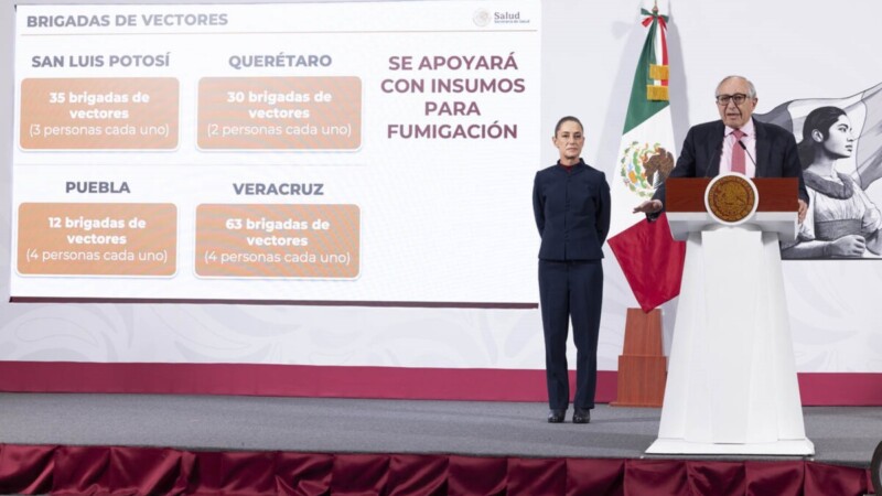 Entran en acción brigadas de vacunación en estados afectados