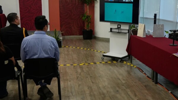 Confían que vaquita marina sobreviva, avistan más ejemplares