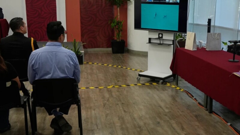 Confían que vaquita marina sobreviva, avistan más ejemplares