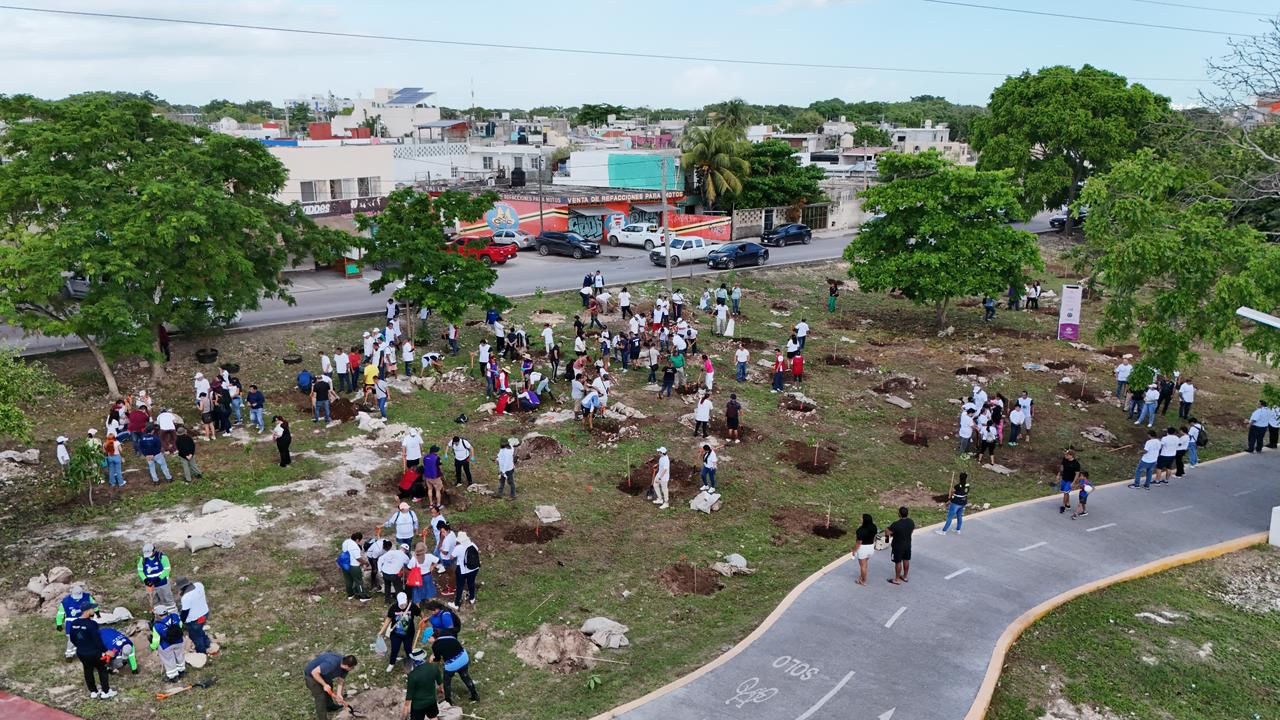 Continúa Ana Paty Peralta arborizando Cancún; mil 170 árboles han sido plantados en todo Cancún.