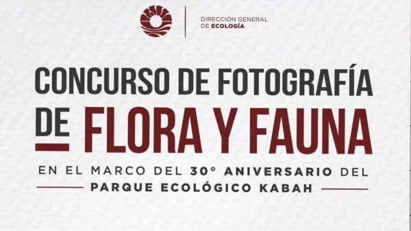Invita Gobierno de BJ al concurso de fotografía de flora y fauna