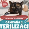 Impulsa Ana Paty Peralta campaña gratuita de esterilización canina y felina