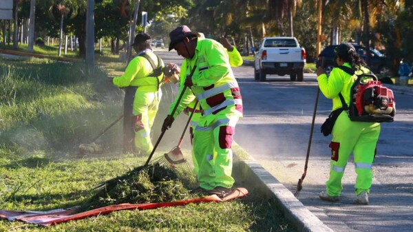 Trabajan brigadas de servicios públicos en limpieza de vialidades
