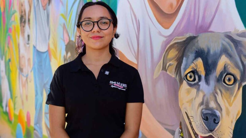 Gobierno de Isla Mujeres refuerza acciones para proteger a los animales, promoviendo la denuncia formal de maltrato