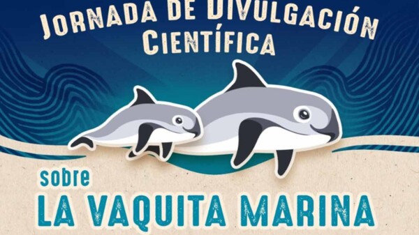 Delphinus y Planetario Káyok cancún aliados por la vaquita marina