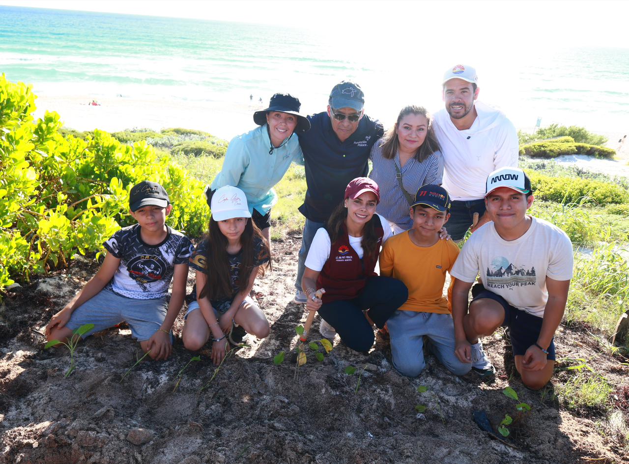 Reforesta Ana Paty Peralta duna costera de playa Delfines; la presidenta municipal participó en la siembra de 500 riñoninas.