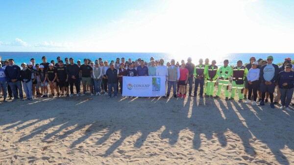 Reforesta Ana Paty Peralta duna costera de playa Delfines