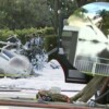 Avión con ayuda humanitaria se estrella en Florida y mueren dos pilotos