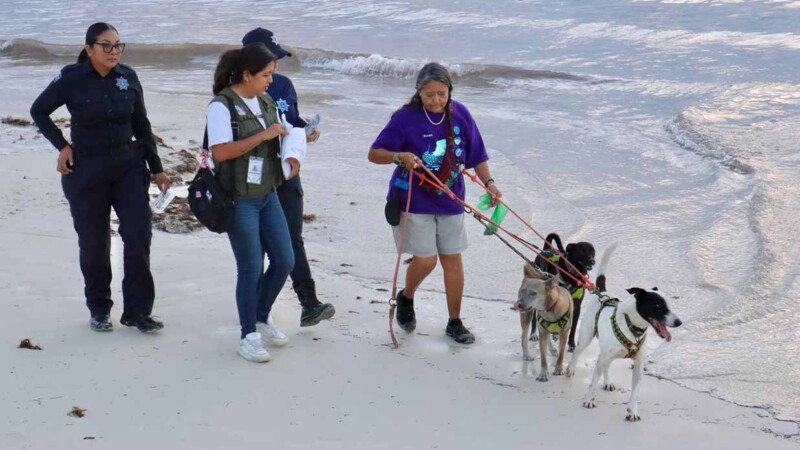 Promueven en Puerto Morelos la tenencia y custodia responsable de mascotas