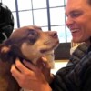 Tom Brady "regresa" a su perrita de la muerte gracias a la ciencia