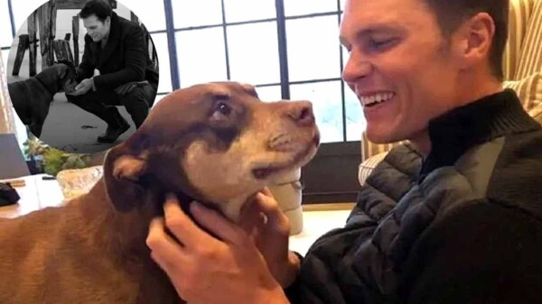Tom Brady "regresa" a su perrita de la muerte gracias a la ciencia