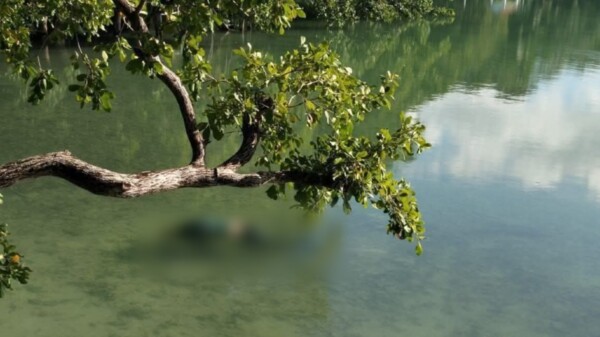 Rescatan cuerpo sin vida en la laguna de Huay-Pix, cerca de Chetumal