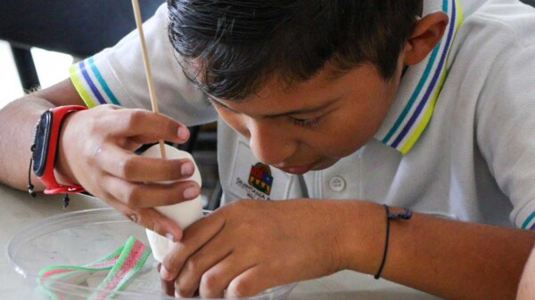 Fortalece DIF Benito Juárez regulación académica