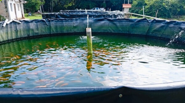 Anuncia Blanca Merari que continuará el impulso a la acuacultura