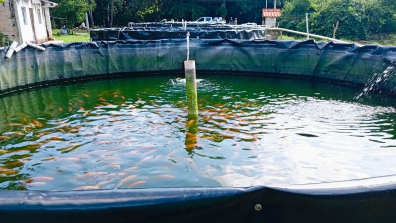 Anuncia Blanca Merari que continuará el impulso a la acuacultura