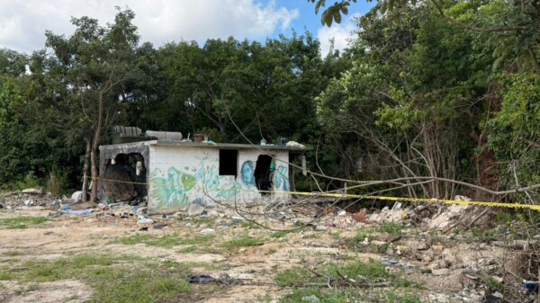 Localizan restos óseos en lote baldío en Cancún