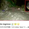 Youtubers montan hallazgo de cuerpo en Cancún y desatan operativo de autoridades y Colectivos de Búsqueda