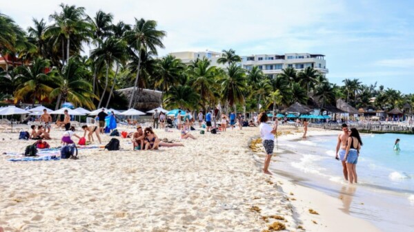 Gobierno de Isla Mujeres atiende con inmediatez recale atípico de sargazo