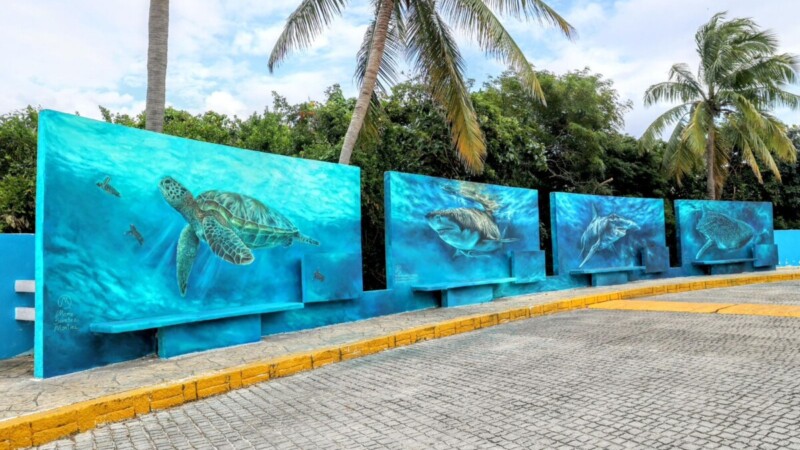 Gobierno Municipal promueve cuidado ambiental a través del arte en Isla Mujeres