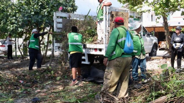Impulsa Ayuntamiento de Puerto Morelos limpieza y sanidad en escuelas del municipio