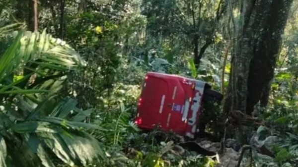 Autobús que trasladaba estudiantes cae a barranco en Veracruz