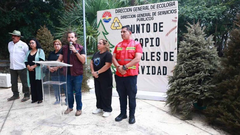 Inicia campaña de acopio de árboles de navidad