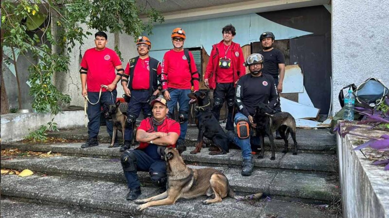 Bomberos de Cancún y PC fortalecen capacidades de respuesta mediante entrenamiento conjunto K9